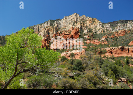 Oak Creek Canyon near Sedona in Arizona, USA Stock Photo