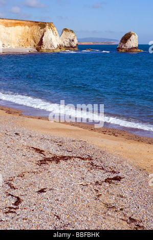 Landscape, Freshwater Bay, Isle of Wight, England, UK, GB. Stock Photo