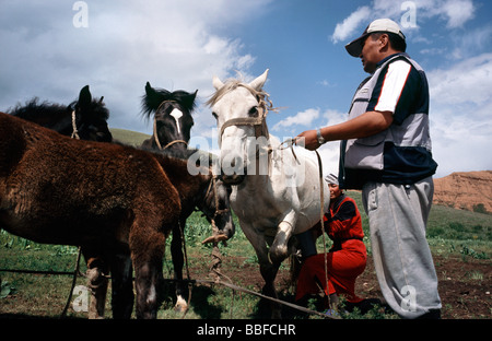 June 24, 2006 - Locals milking a horse at their summer pasture outside the Kyrgyz town of Kazarman. Stock Photo