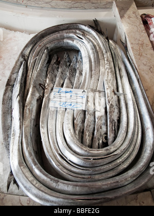 Silver scabbardfish (Lepidopus caudatus) on sale at fish market ...