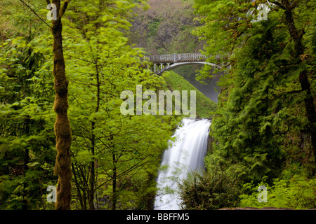 Multnomah Falls, Oregon, USA Stock Photo