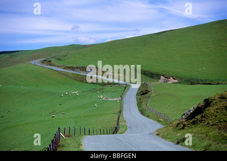 Ty nant Valley Road winds through the lush green hills of Snowdonia National Park Gwynedd County Wales Stock Photo
