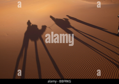 Africa, North Africa, Morocco, Sahara Desert, Merzouga, Erg Chebbi, Tourists Riding Camels, Shadows in the sand Stock Photo