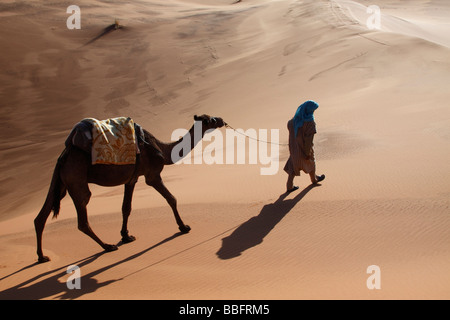 Africa, North Africa, Morocco, Sahara Desert, Herzog, Erg Chebbi, Berber Tribesman Leading Camel Stock Photo