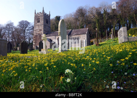 Spring flowers  making a beautiful setting for  St Peters Church Lewtrenchard Okehampton West Devon England Stock Photo