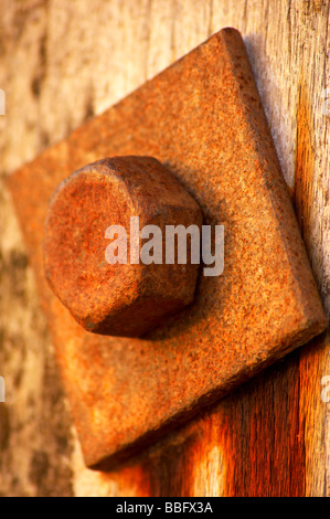 Rusty bolt in old timber groyne on the coastline at Dawlish Warren Stock Photo