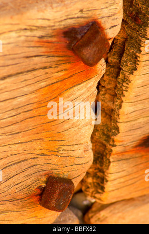 Rusty bolts in old timber groyne on the coastline at Dawlish Warren Stock Photo