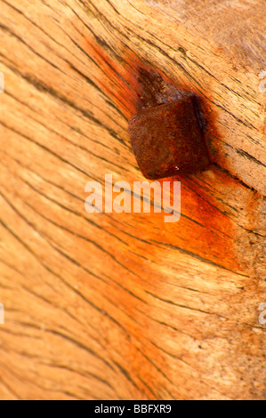 Rusty bolt in old timber groyne on the coastline at Dawlish Warren Stock Photo