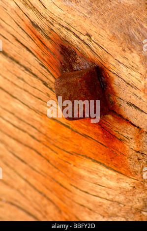 Rusty bolt in old timber groyne on the coastline at Dawlish Warren Stock Photo