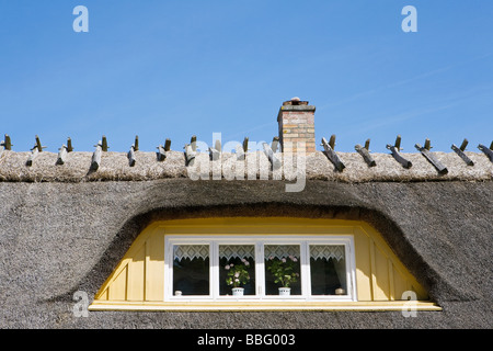 Thatched roof of a house Stock Photo