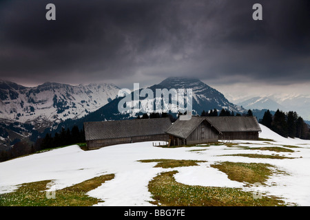 Pfingstboden Alm mountain pasture in the Swiss Alps, Appenzell, Stockberg, Alpstein, Saentis, Swiss Alps, Switzerland, Europe Stock Photo