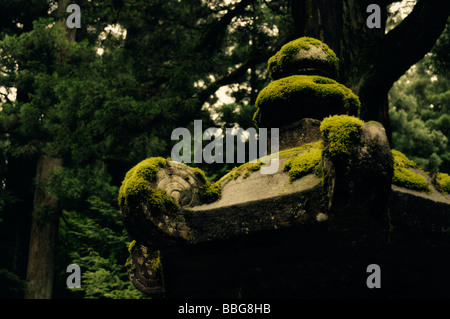 Mossy stone lantern. Walkway from Toshogu Shinto Shrine to Futurasan Shinto Shrine complex. Nikko. Tochigi Prefecture. Japan. Stock Photo