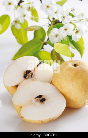 Nashi pears, flowers Stock Photo