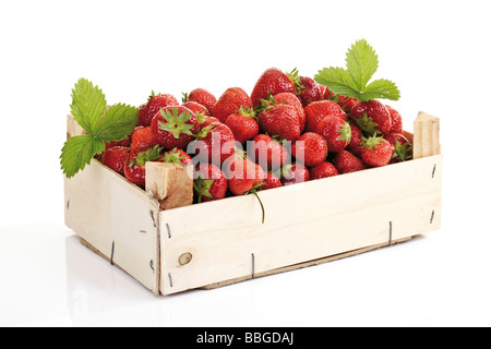 Wooden box with fresh strawberries from the field Stock Photo