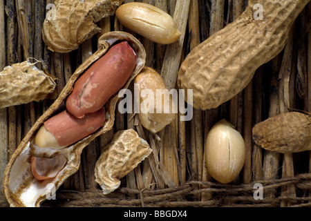Peanuts (Arachis hypogaea) on straw Stock Photo