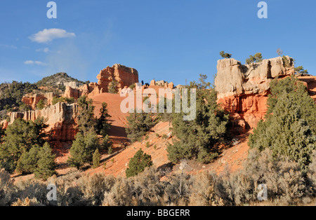 Rock formations in Red Canyon, Dixie National Forest, Utah, USA Stock Photo