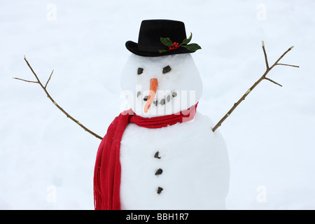 Snowman with carrot nose and red scarf Stock Photo