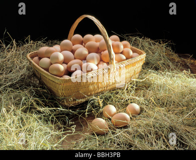 Free Range Eggs in Basket on Barn Floor Stock Photo