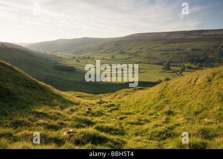 The view along Littondale, in the Yorkshire Dales, from above the village of Arncliffe. Stock Photo