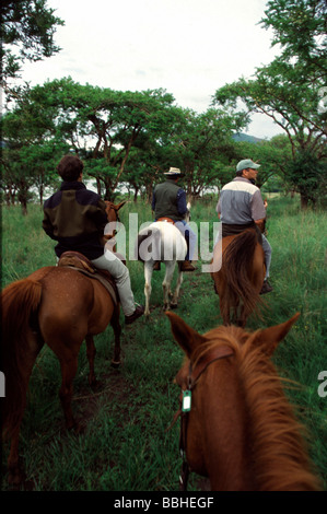 Estcourt KwaZulu Natal South Africa 12 2001 nhorses horse riding veld outdoor activities horse rides riders Stock Photo