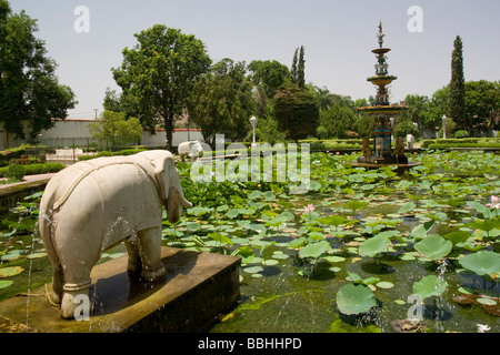 India Rajasthan Udaipur Saheliyon Ki Bari gardens Stock Photo