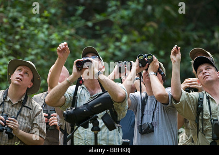 Forest birding in Subic Luzon Philippines Stock Photo