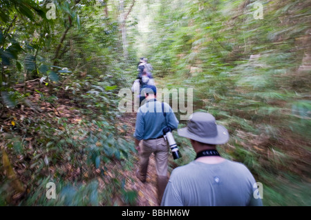 Birding a forest trail on Palawan in Philippines Stock Photo