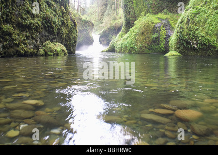 Punch Bowl Falls Eagle Creek Oregon Columbia Gorge Stock Photo