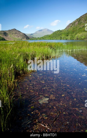 A beautiful sunny summers morning with blue sky over the calm lake waters of LLyn Dinas in Snowdonia National Park, Wales, UK Stock Photo
