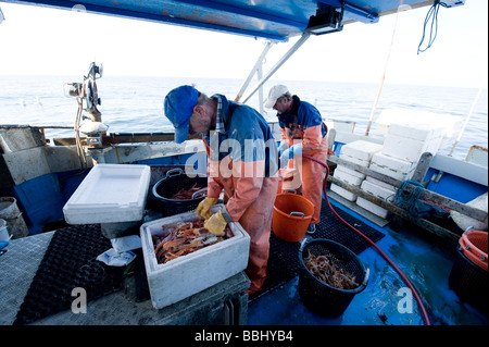 Crayfish fishing by use of pots, a more moderna and nature friendly form of fishing than trawling. Sweden Stock Photo