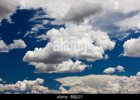 Puffy white cumulous clouds against a clear blue Colorado sky Stock Photo