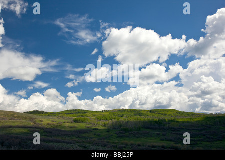 Puffy white cumulous clouds against a clear blue sky Highway 50 west of Sapinero Colorado USA Curecanti National Recreation Area Stock Photo