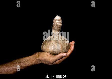 herbal bags or Kizhi used for ayurveda massage, ayurvedic treatment, kerala India Stock Photo