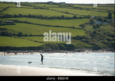 Summer afternoon Poppit Sands beach Pembrokeshire coast national park Wales UK Stock Photo