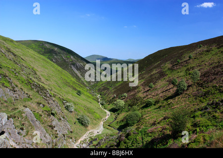 A view down Light Spout Hollow, at the head of Carding Mill Valley on the Long Mynd, Shropshire Stock Photo