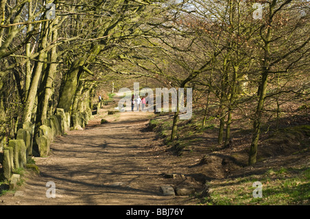 dh Chevin Forest Park WEST CHEVIN WEST YORKSHIRE Family walking woodland footpath track path walk otley Stock Photo