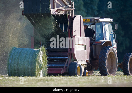 Tractor Baling Silage Stock Photo