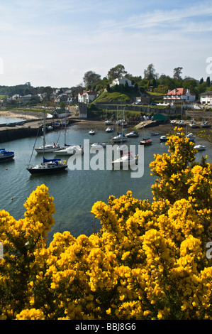 dh yachting harbour anchorage ABERDOUR VILLAGE FIFE SCOTLAND Scottish Yacht boats in harbor at anchor sailboats yachts Stock Photo