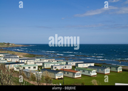 dh Firth of Forth CELLARDYKE FIFE Kilrenny Mill Caravan Park site static caravans home holiday homes Scotland britain campsite uk Stock Photo