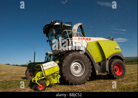 Claas 940 self propelled forage harvestor working in field Filling trailers with chopped grass Cumbria  Stock Photo