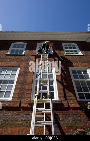 a painter and a ladder Stock Photo