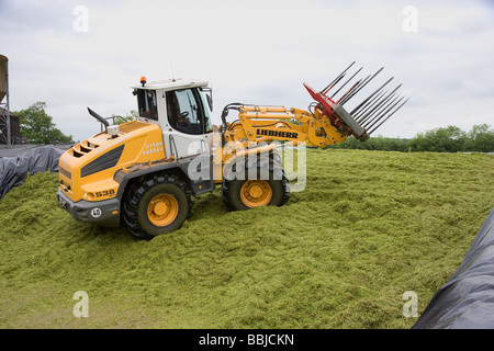 Loader working in a silage clamp Stock Photo