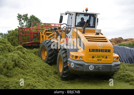 Loader working in a silage clamp Stock Photo