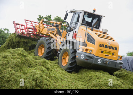 Loader working in a silage clamp Stock Photo