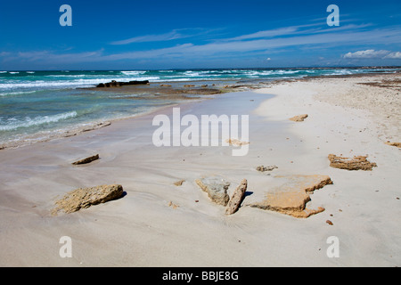 Rocks on beach Platja des Trenc Mallorca Spain Stock Photo