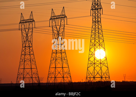 Power transmission towers at sunset, Manitoba, Canada. Stock Photo