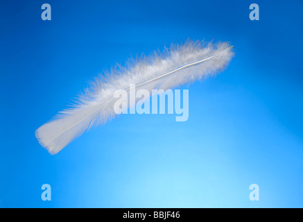 Feather Horizontal Stock Photo