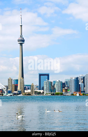 Toronto harbor skyline with CN Tower and skyscrapers Stock Photo