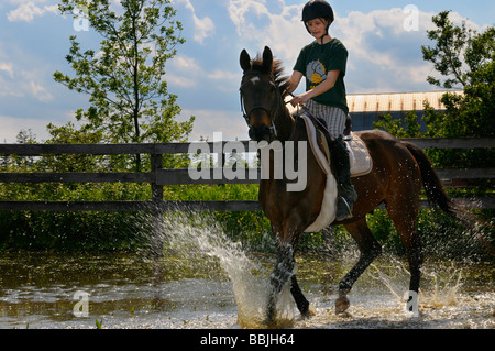 Young rider splashing through a pond on a bay thoroughbred horse Ontario Stock Photo