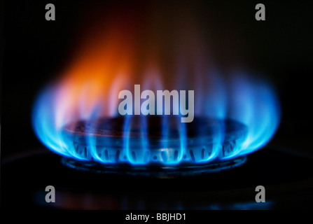 Burning hot blue yellow fire flames from a stove for cooking in a kitchen Stock Photo